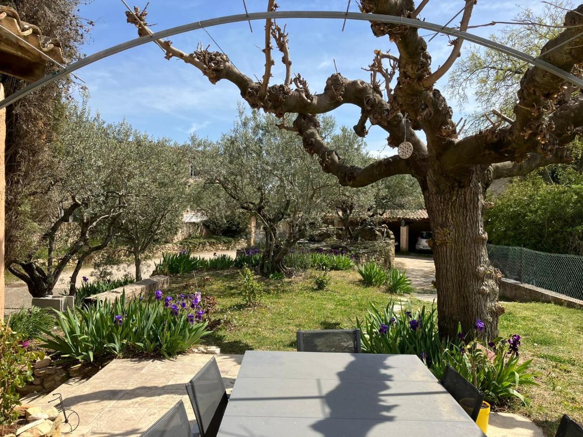 Chambre Avec Petit-Dejeuner En Provence Luberon La Tour-dʼAigues 外观 照片